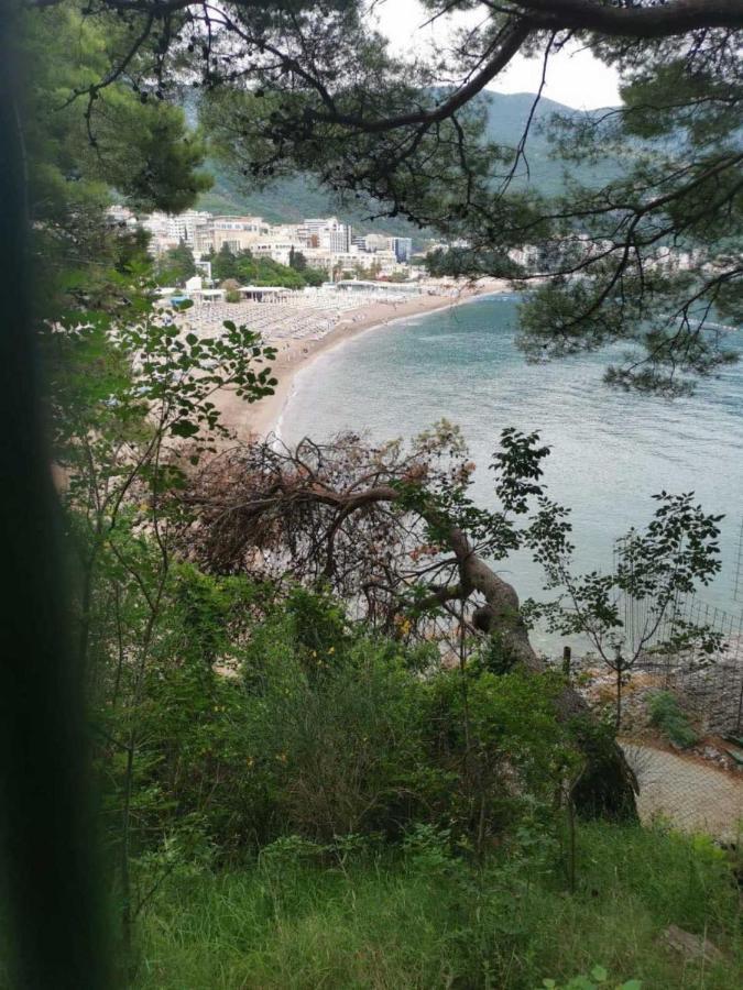 Seaview Jana Apartment *